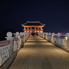 풀옵🌴 숲과바다를품은집 방 이미지