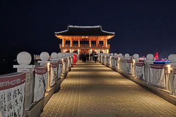 풀옵🌴 숲과바다를품은집