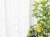 선릉🌿 여백&감성공간 15번째 이미지