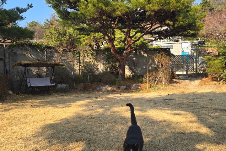 경주의 토담집 3번째 이미지