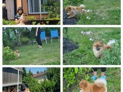 잔디마당 독채2룸형E동 18번째 이미지