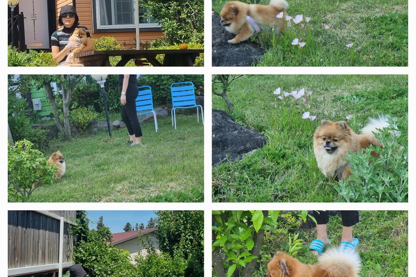 잔디마당 독채2룸형E동