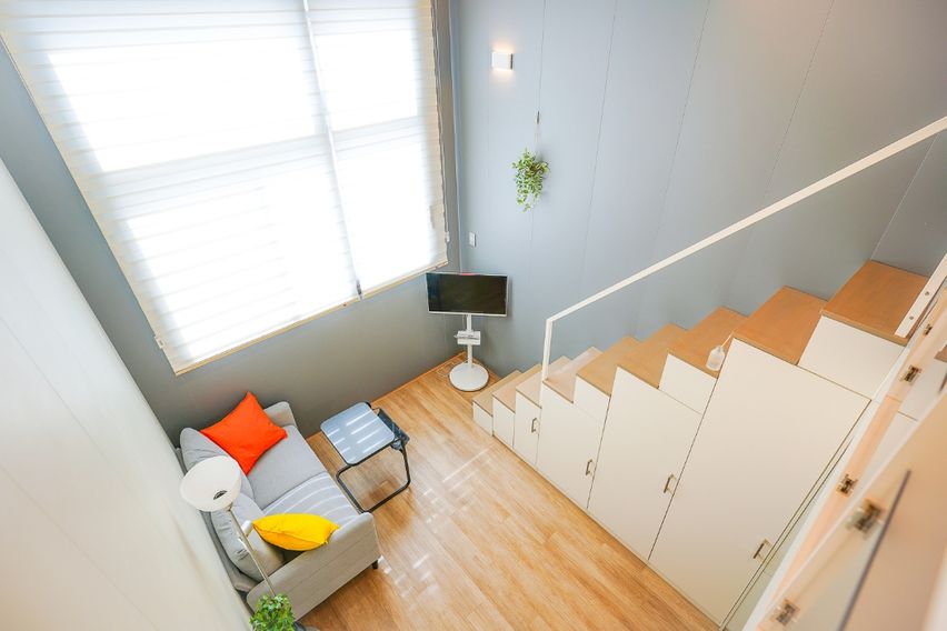 미금/정자🐕댕냥이OK