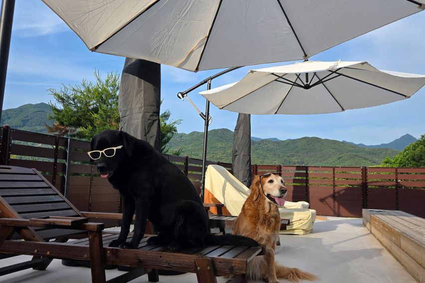 수영장 독채2층집