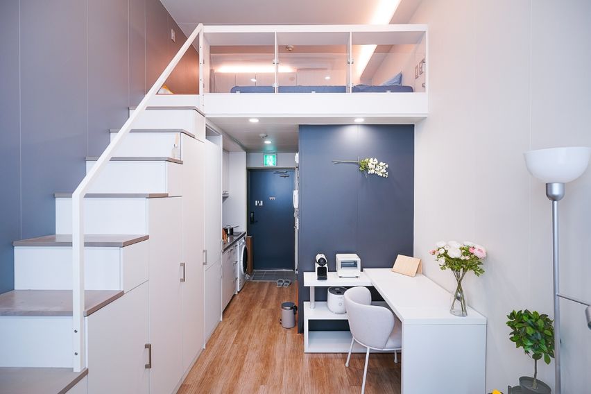 미금/정자🐕댕냥이OK