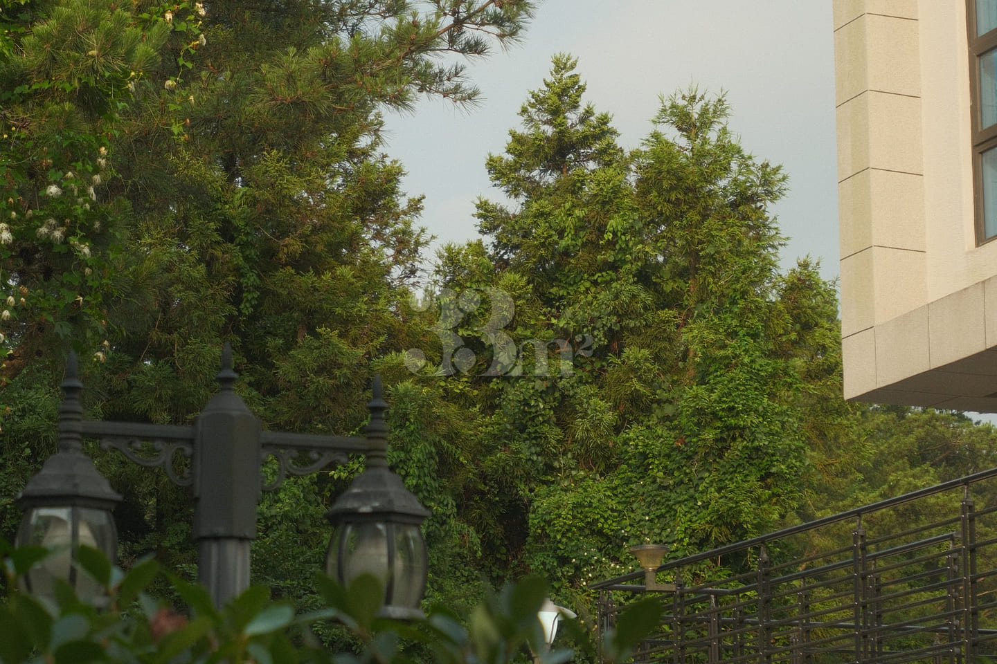 [Aewol] Stay Pinehill 5th image