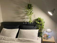 Special Offer πΈ Newly Built N10 near Byeongj 0th image