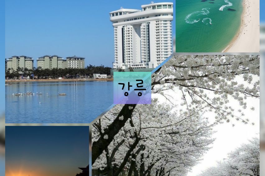 강원동해어달앞바다201 21번째 이미지