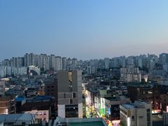 🎯성수서울숲뚝섬반려견 7번째 이미지