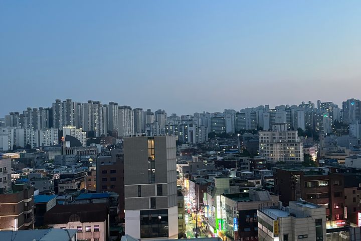 🎯성수서울숲뚝섬반려견 7번째 이미지