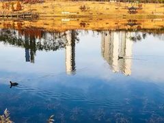 파인브리즈 12번째 이미지