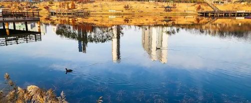 파인브리즈 12번째 이미지