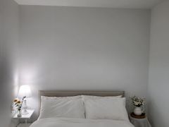 솜담애 11번째 이미지