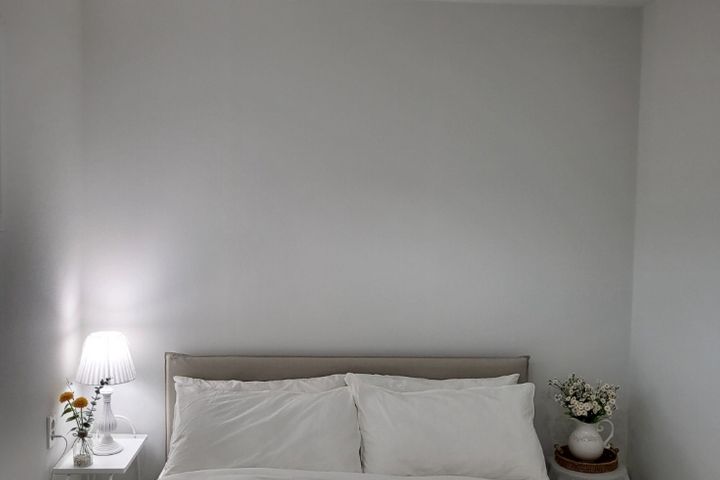 솜담애 11번째 이미지