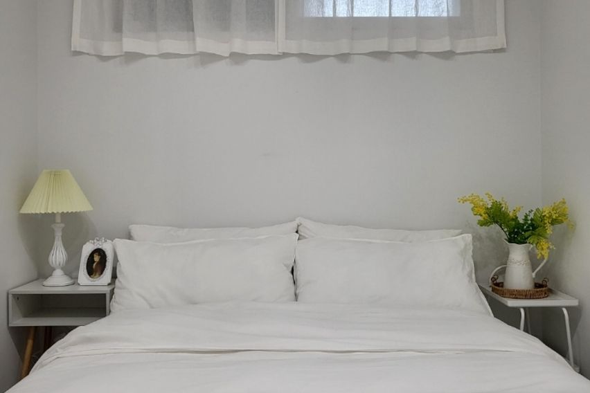 솜담애 10번째 이미지