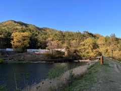 조용한 산책, 힐링의 8번째 이미지