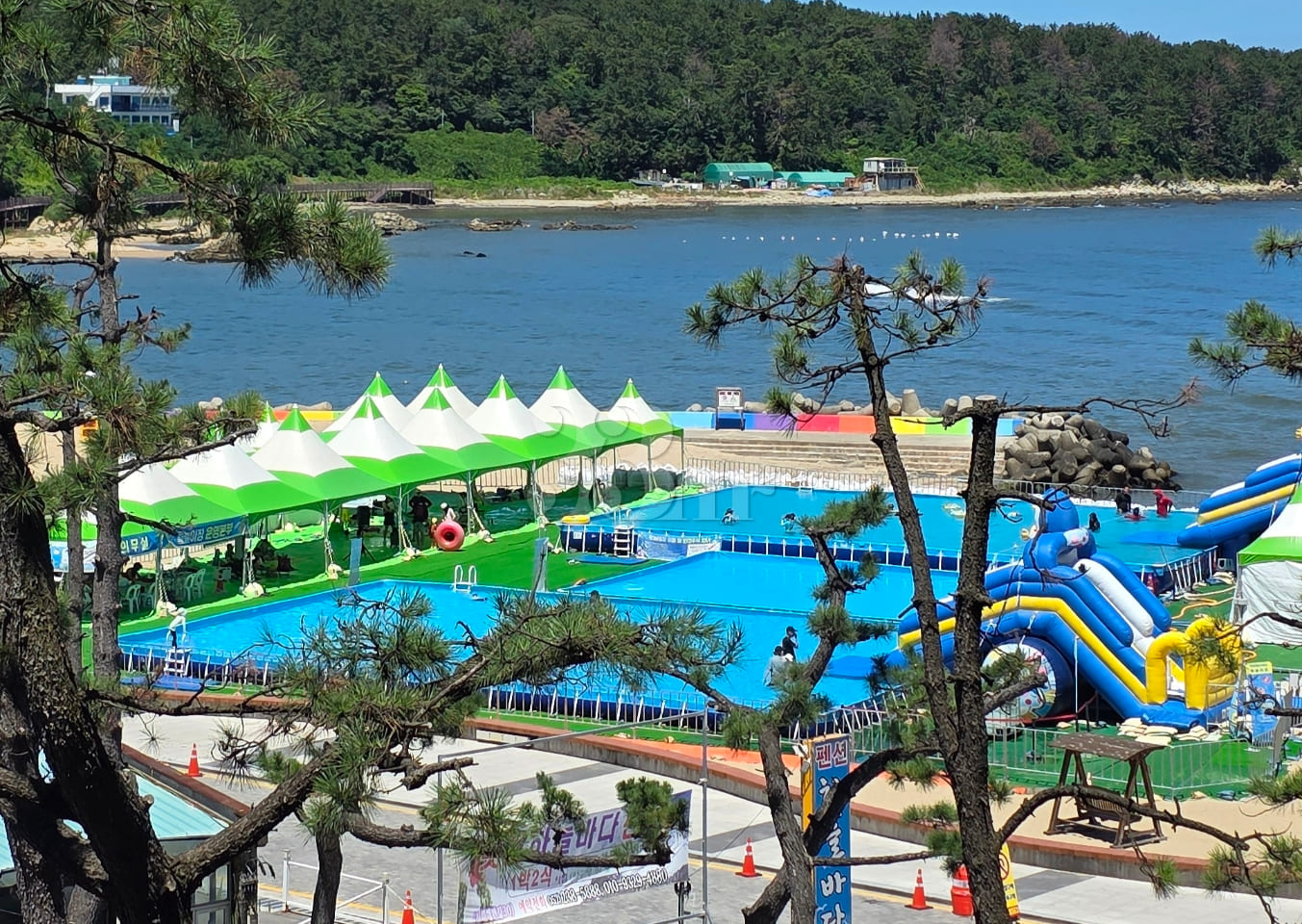 (Peak Season) Jinha Beach 14th image
