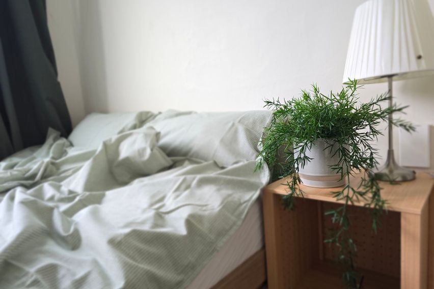 롯백성심당투룸오픈특가