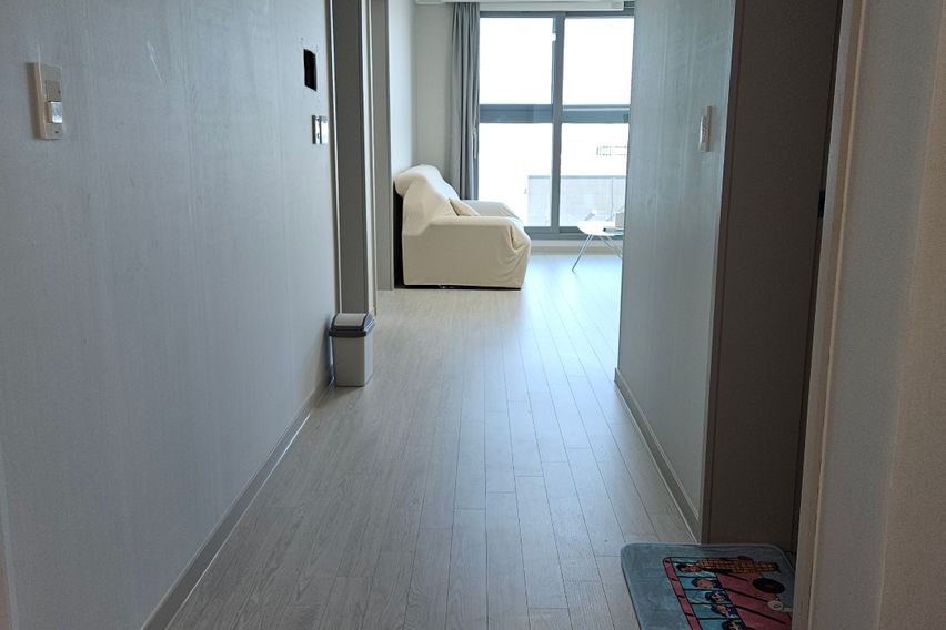 바다,해변,항공,요트