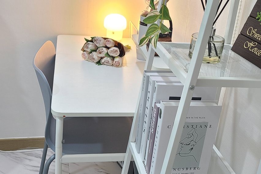 227스테이-스탠다드