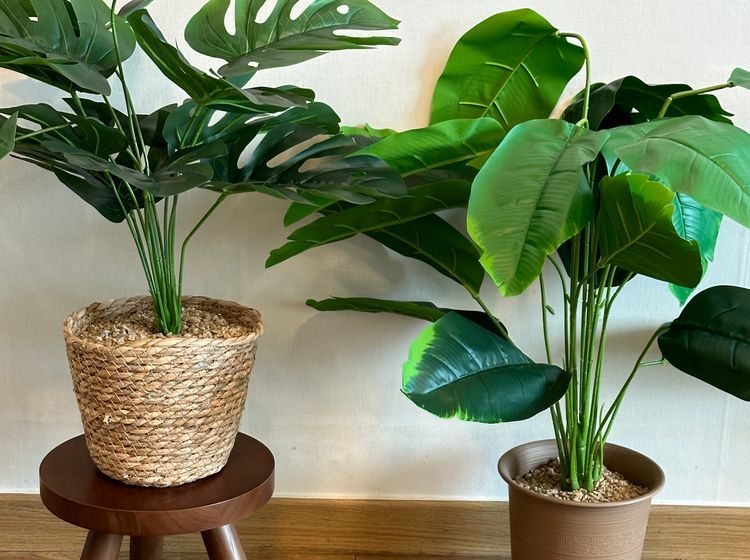 홍대입구역3분🎄4인