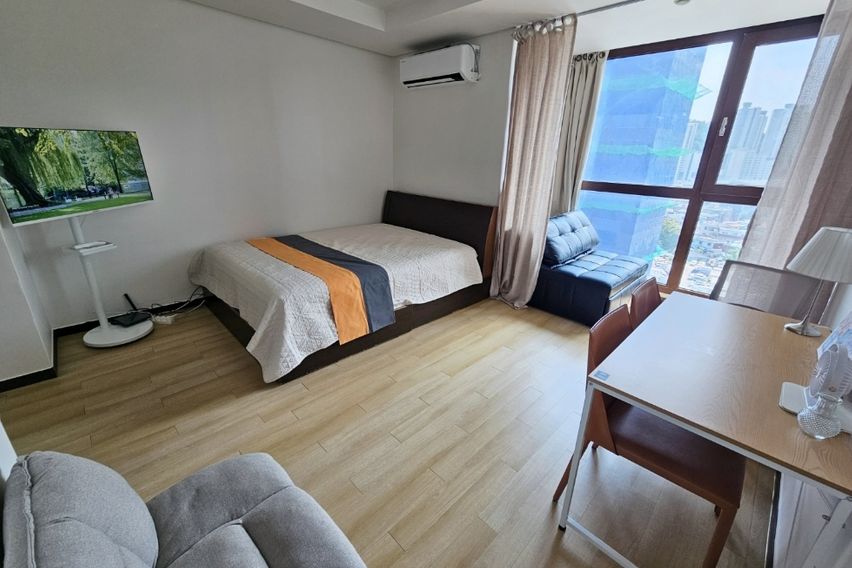 왕십리종로성수서울숲애견