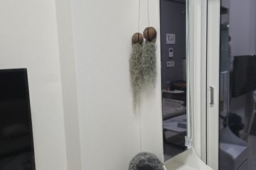 영종대로대로