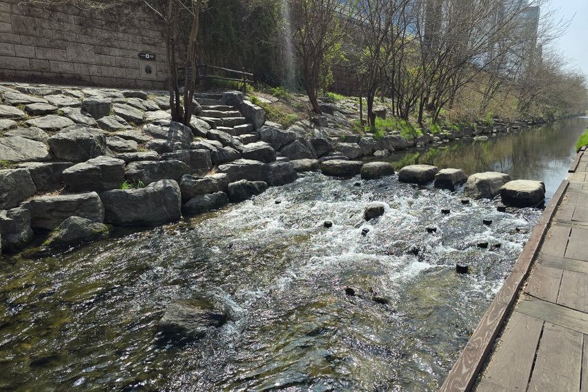 동묘역 1분 고려대 19번째 이미지