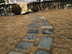 가든A 14번째 이미지
