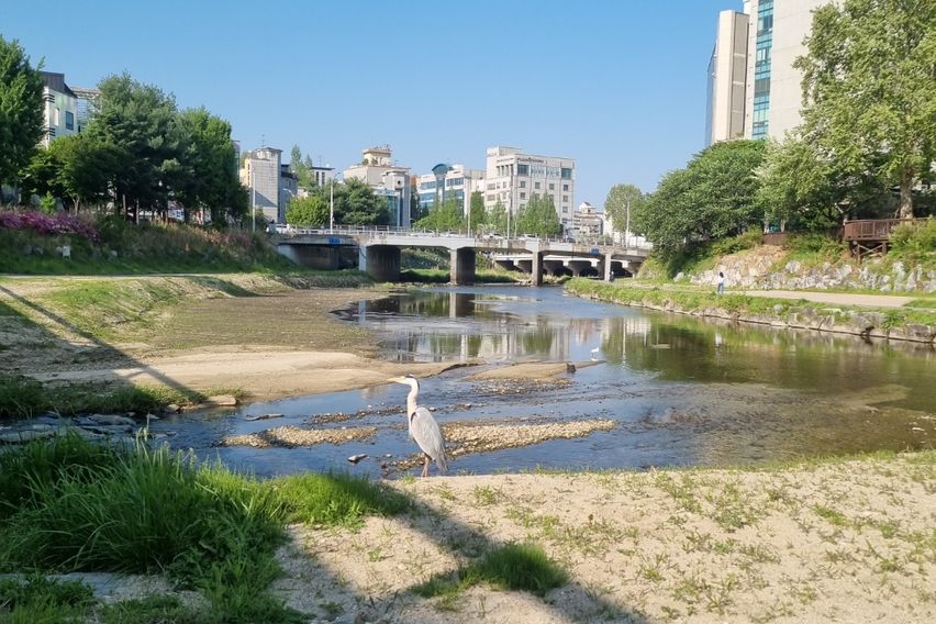 카이스트 대전출장 여행 5번째 이미지