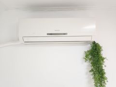 💡신사/압구정/강남 14번째 이미지