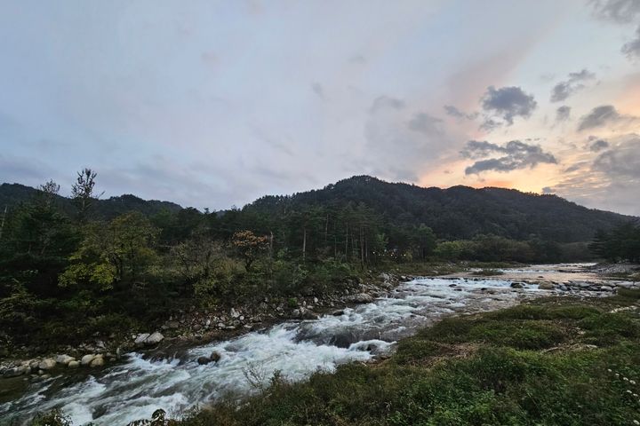 오대산포레스트베롱스테이 10번째 이미지