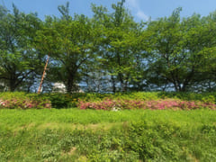 ๐ 2-minute walk to the station โค New A/C โค S 7th image