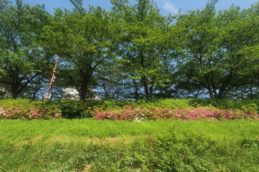 🌈3분역세권❤리모델링❤ 13번째 이미지