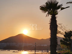 Yacht Marina with a Sea View~ 12th image