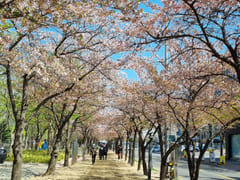 대구수성구수성못호텔식방 14번째 이미지