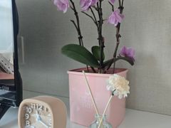 태평동 신축풀옵션 4번째 이미지