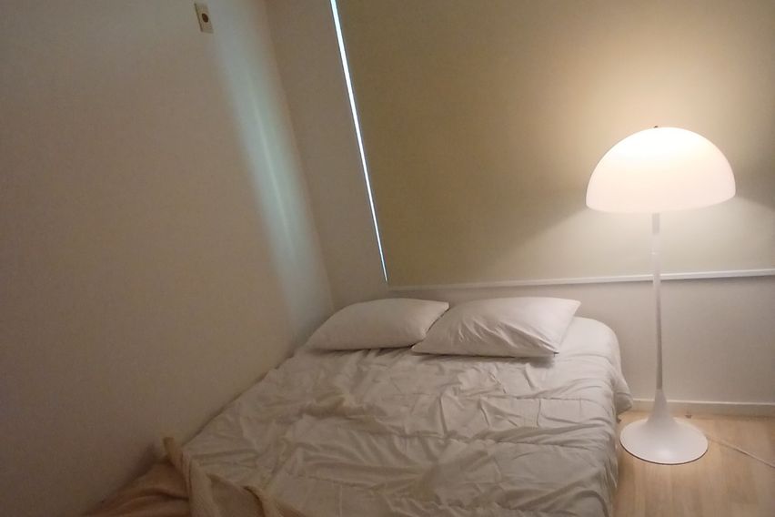 왕십리+한양대+성수+ 0번째 이미지