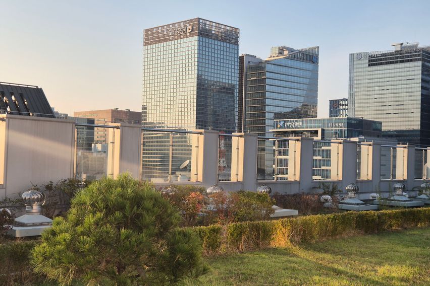 🩷명동5분 깔끔710