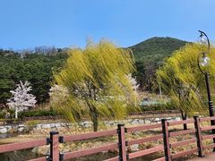 [초특가]공기좋은집 15번째 이미지