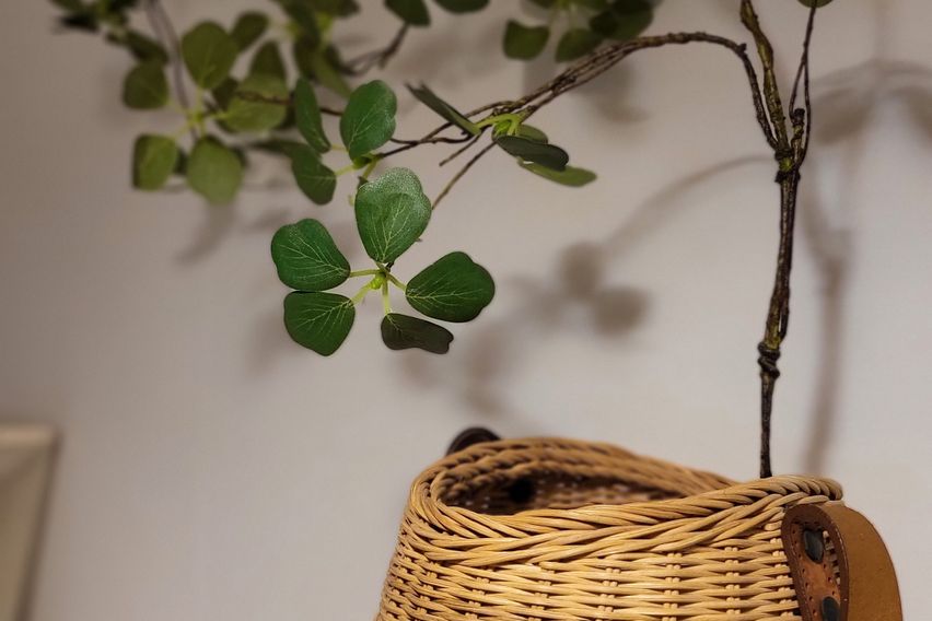 마당있는  감성주택대구 9번째 이미지