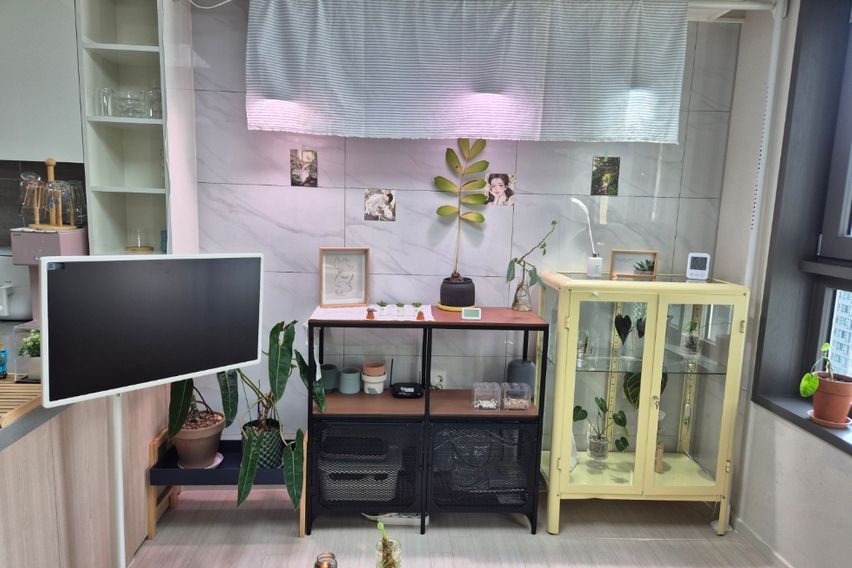 장안동 신축하우스