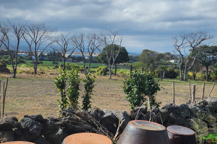 제주함덕(1.5룸)