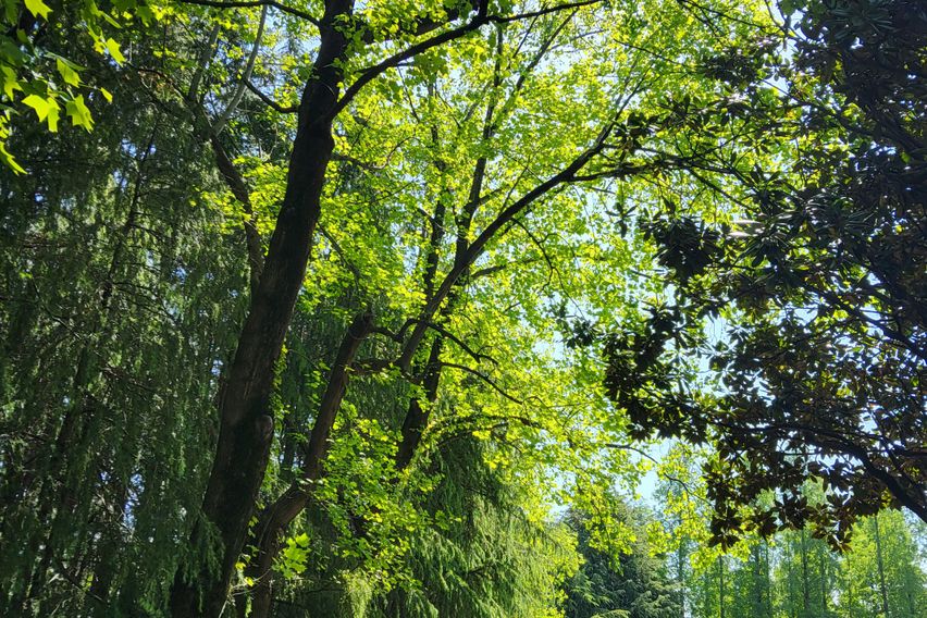 숲세권에서 힐링을 🌿 1번째 이미지