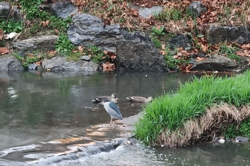 카이스트 대전출장 여행 4번째 이미지