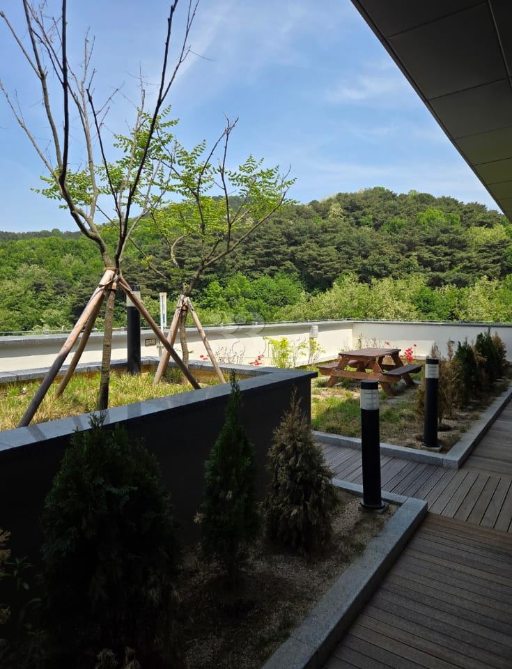 Sodam 702 Terrace View 6th image