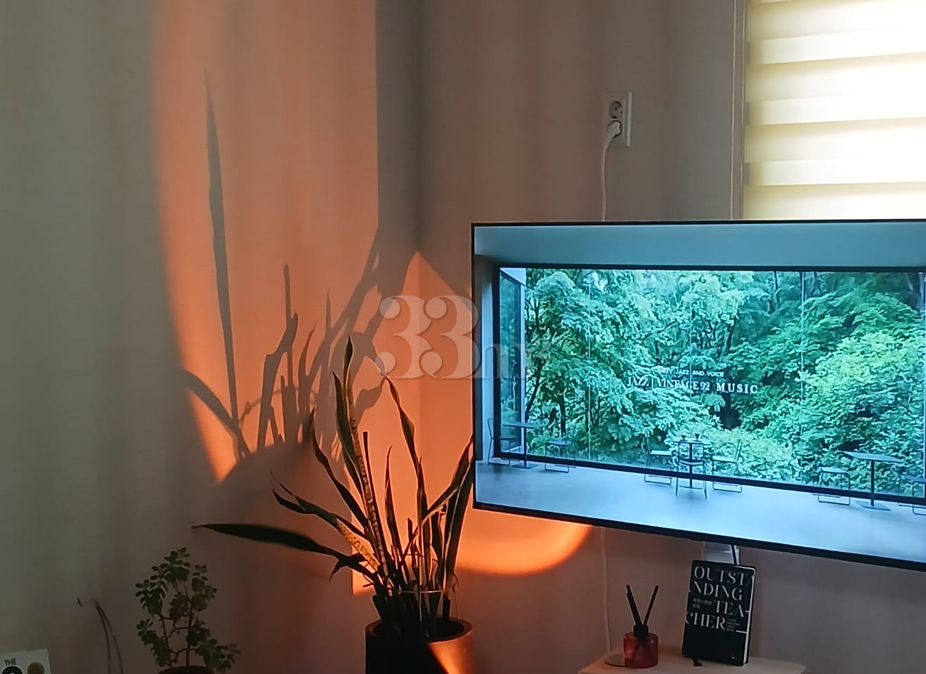 Forest-healing duplex accommodation ๐ 3th image