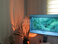 Forest-healing duplex accommodation ๐ 3th image