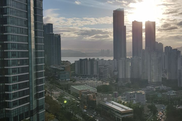 해운대 바다와 정원 14번째 이미지