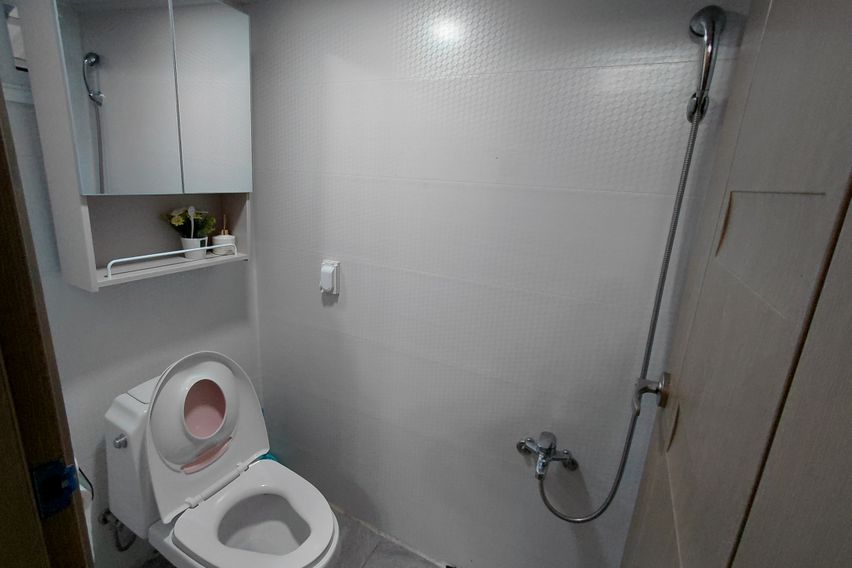 반려동물과 단독으로 6번째 이미지